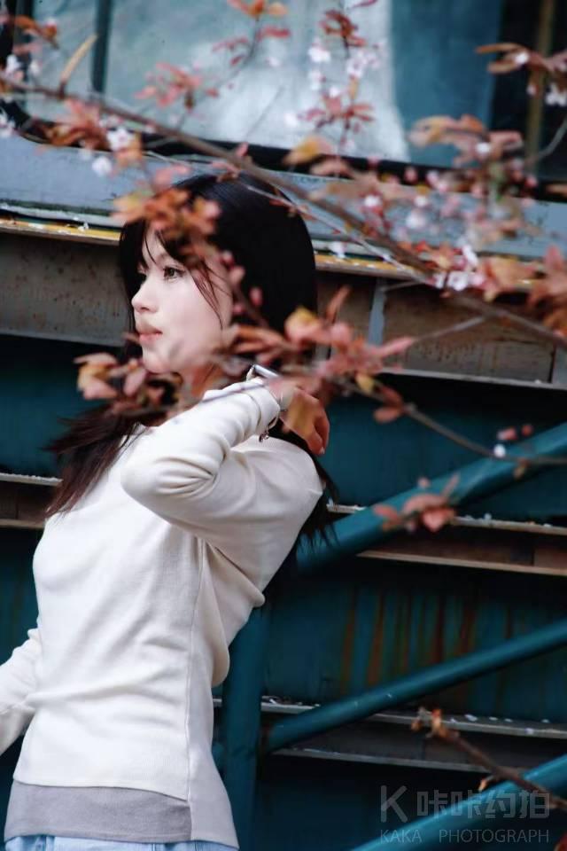 作品图 2