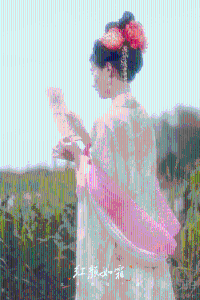 左岸视觉