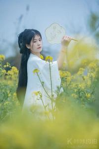菲米