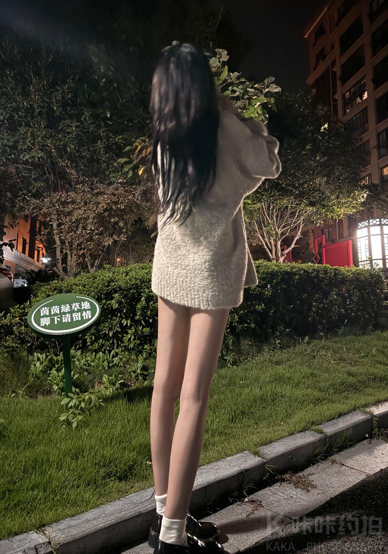 作品图 3