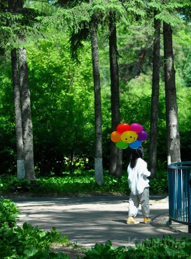 作品图 5