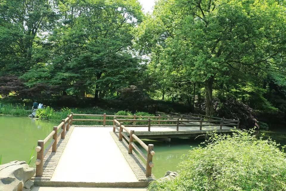 场地图 2