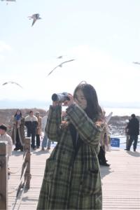 惠惠