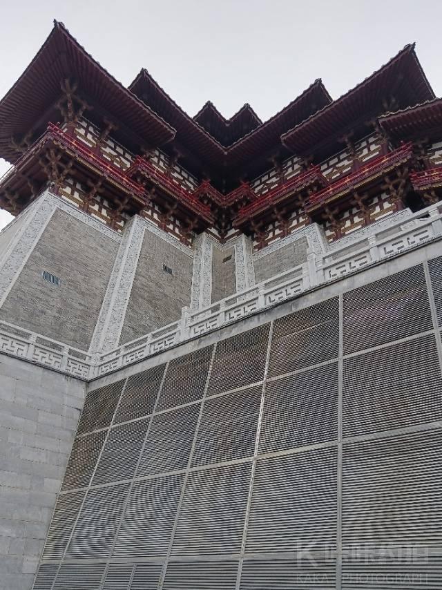 场地图 8