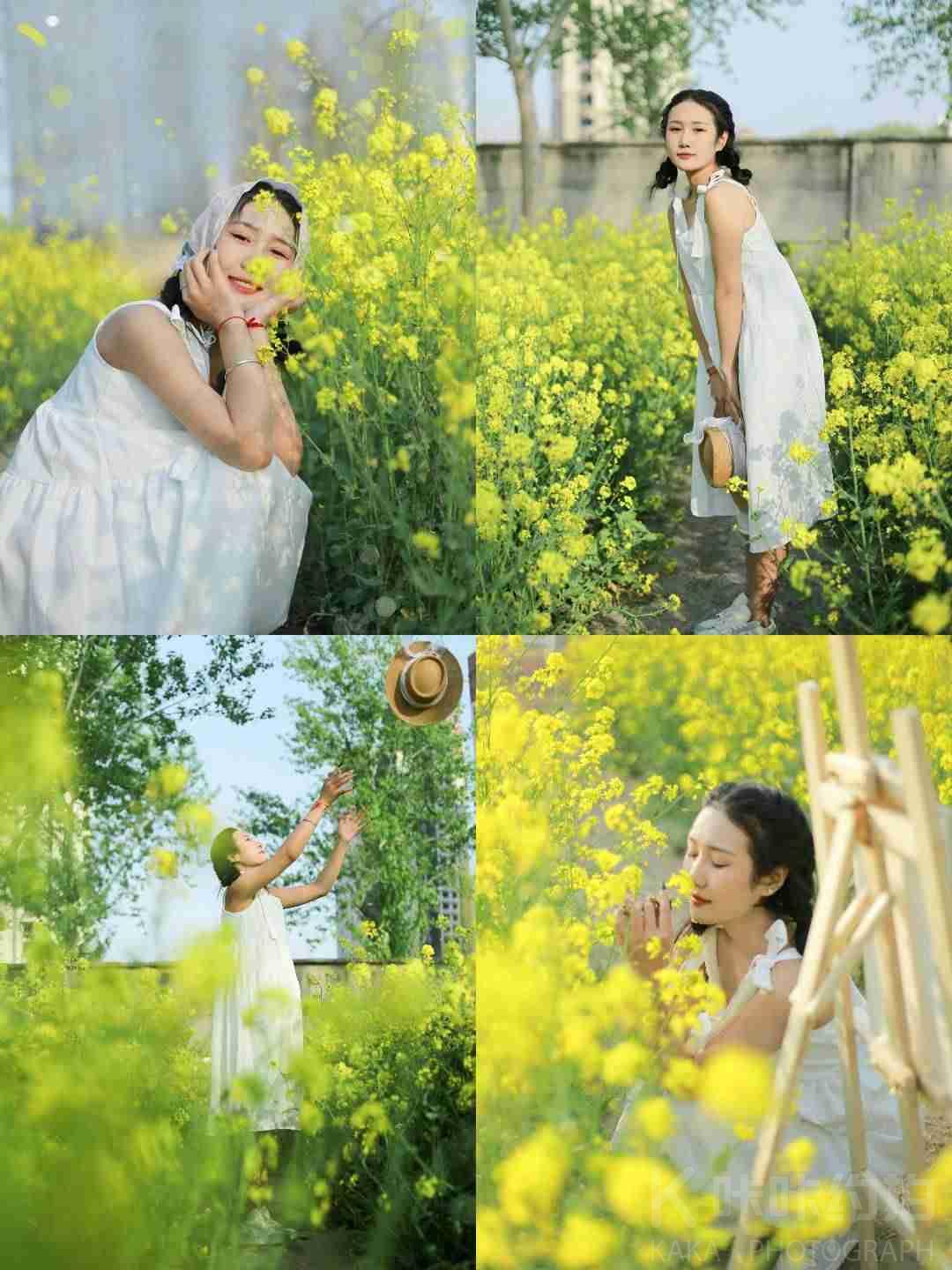 爱吃雪花的鲸