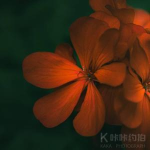 约拍图 3