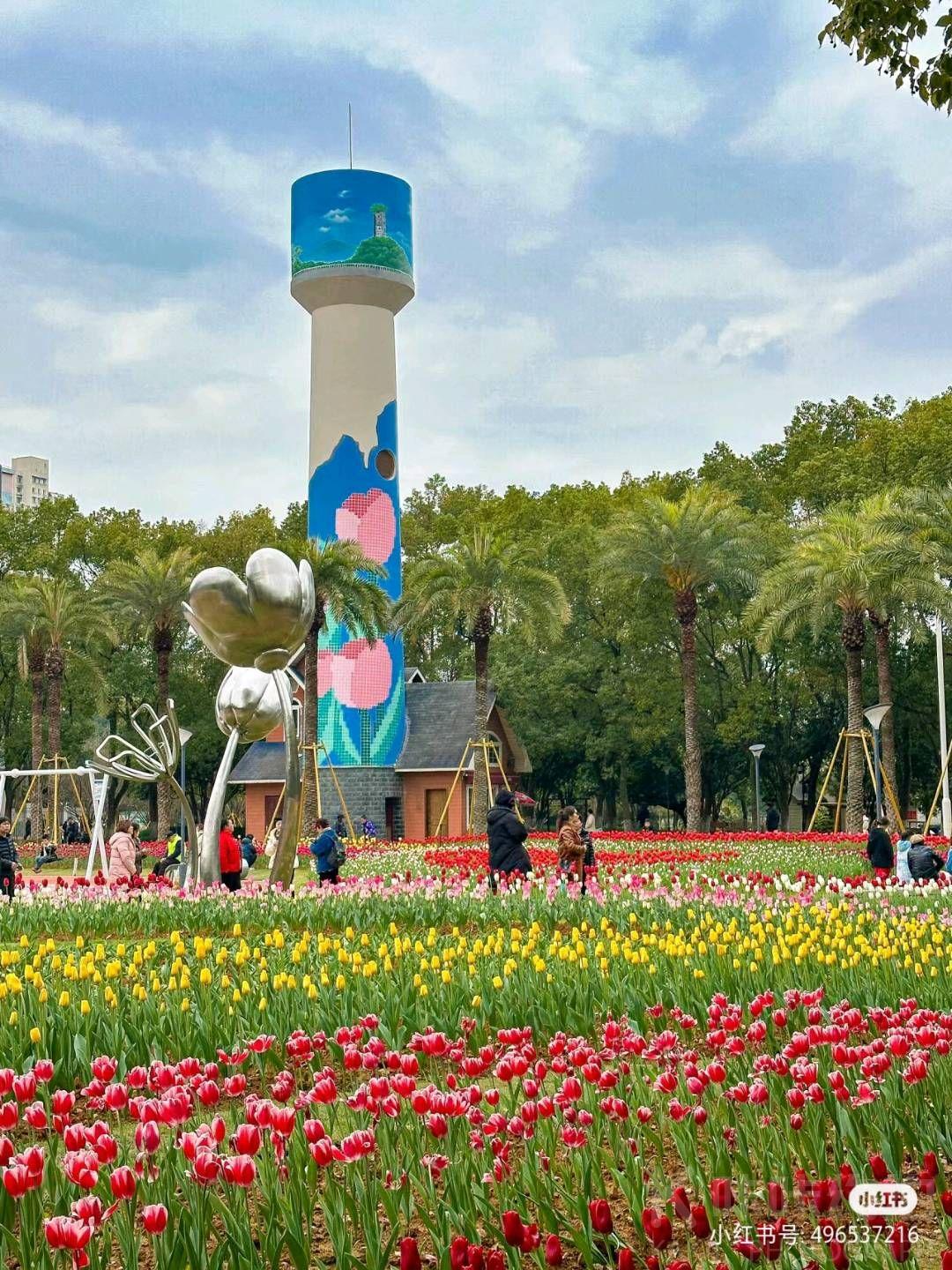 场地图 2