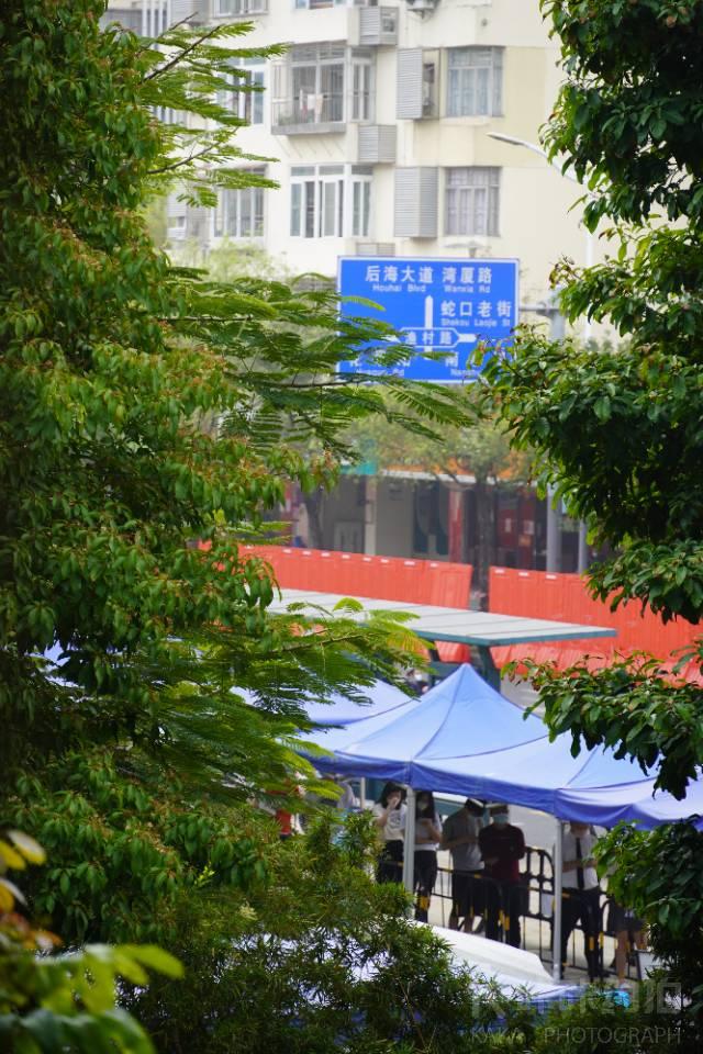 作品图 4