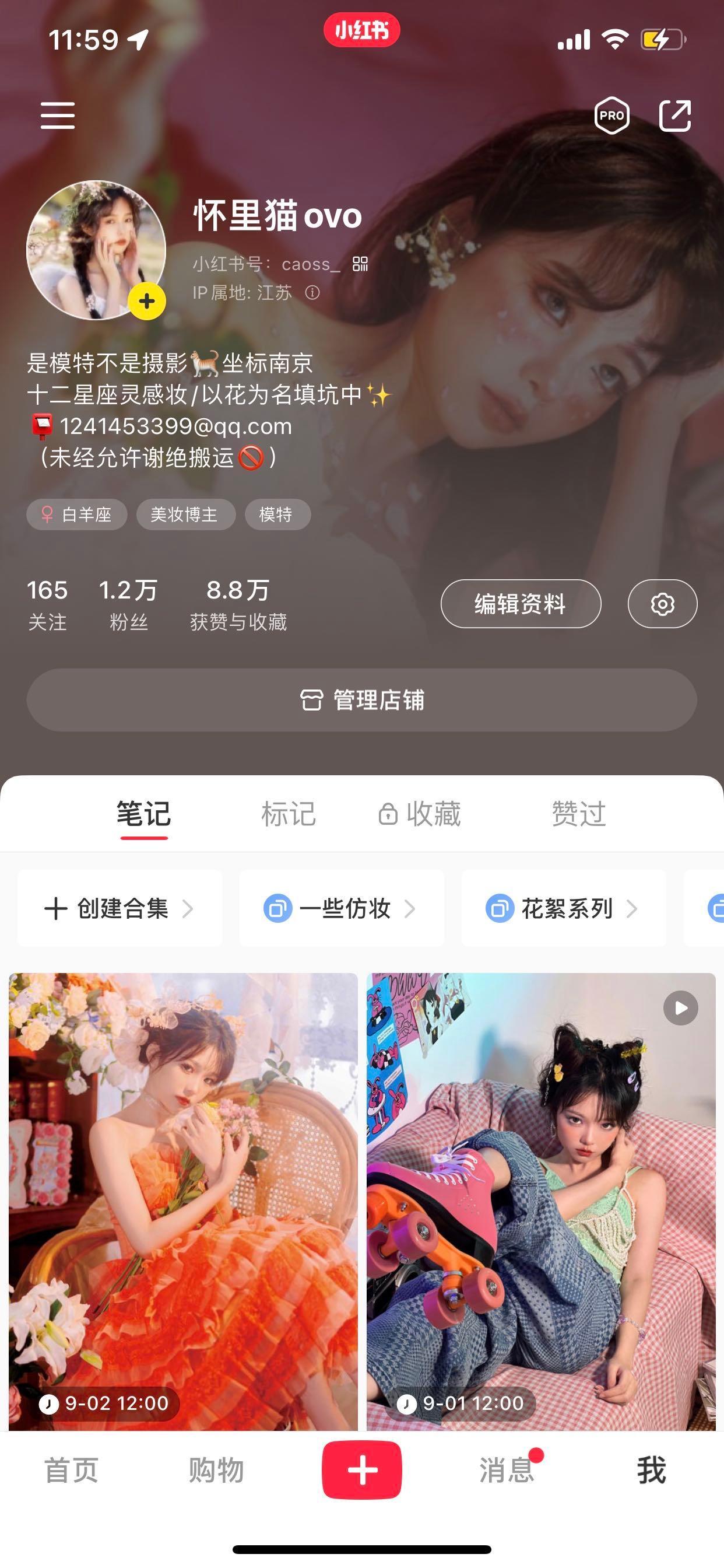 作品图 4