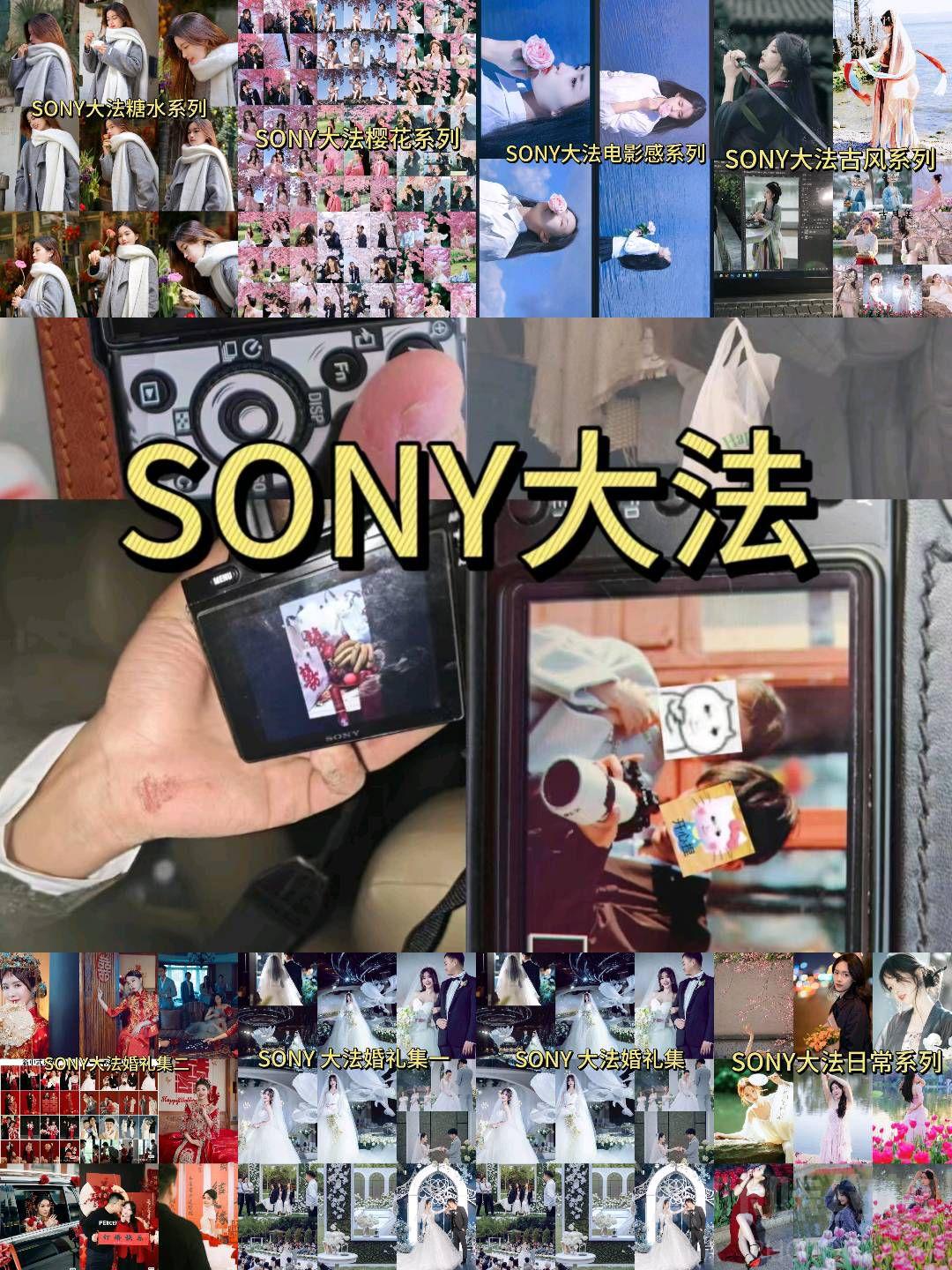 作品图 3