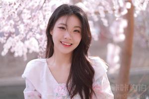 南风知我意