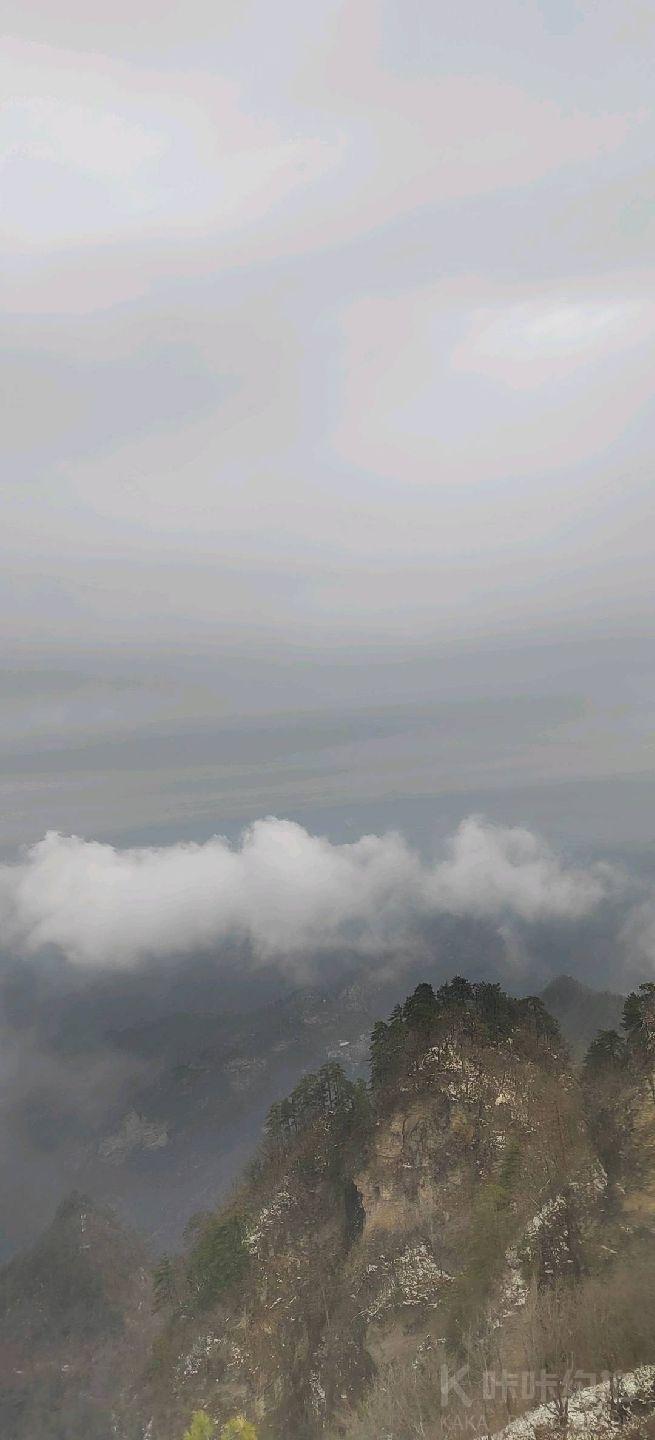 作品图 2