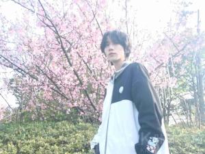 忧伤莉花