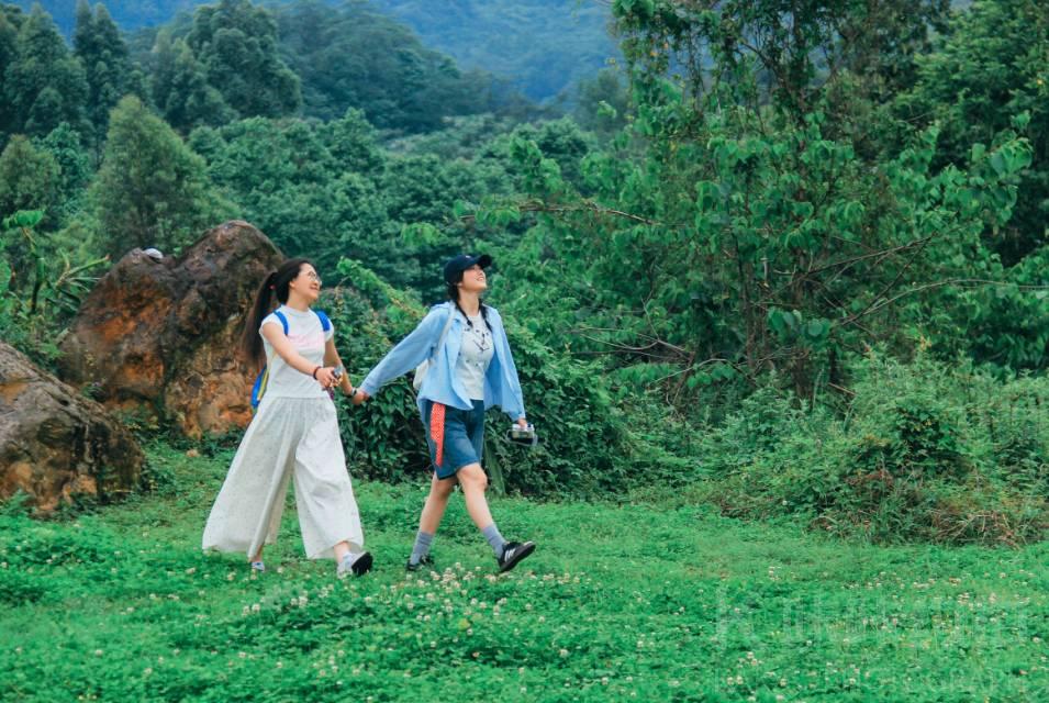 作品图 9