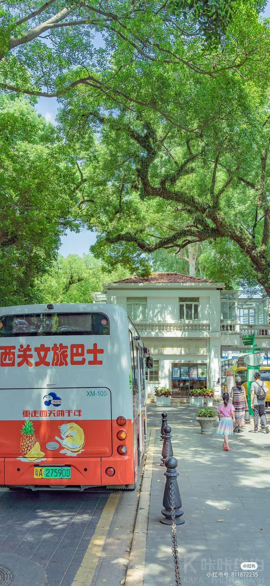 场地图 4