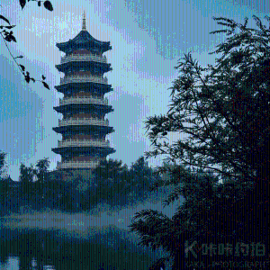 鱼茶