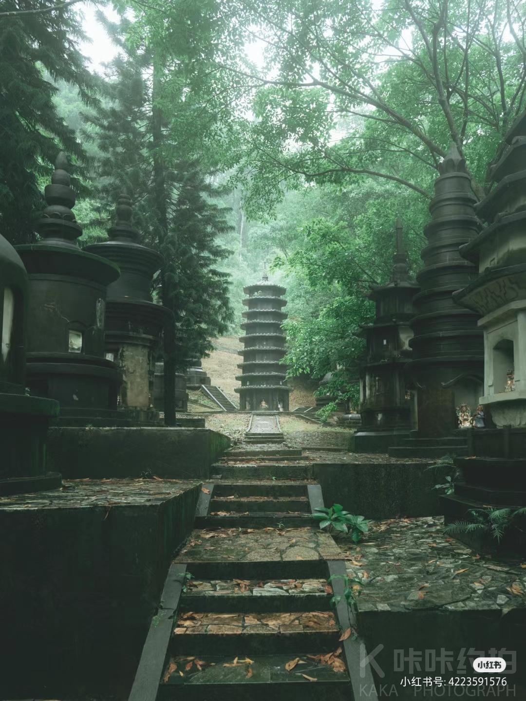 龙岗秘境