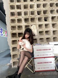 艿蓋