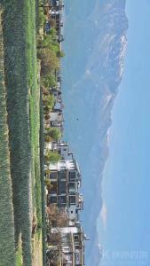 云南旅拍 小