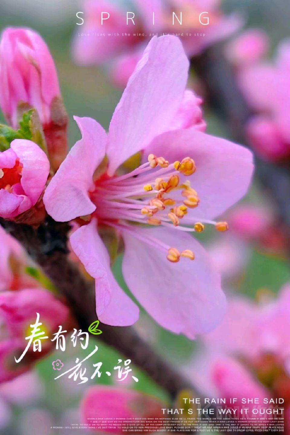 作品图 3