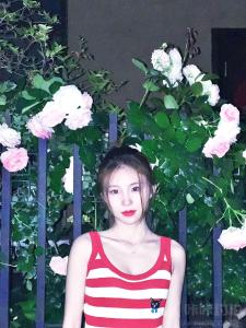 白天不与黑夜