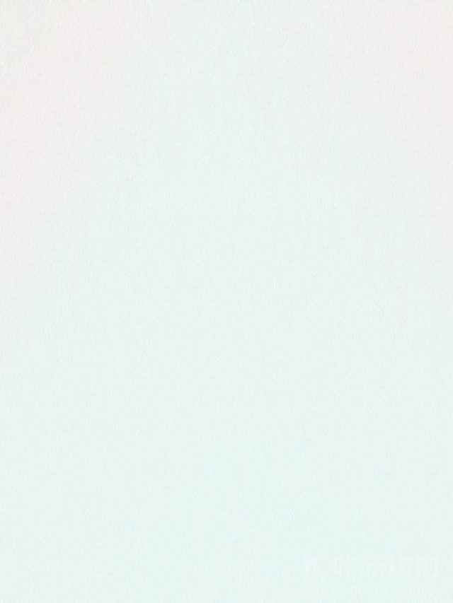 作品图 2