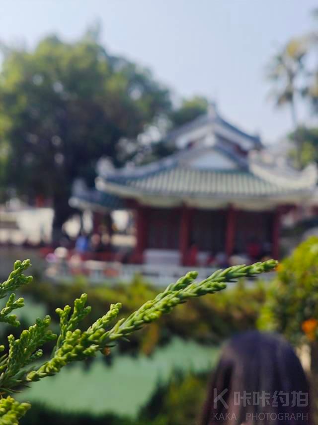 作品图 5