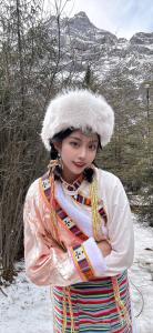 本本