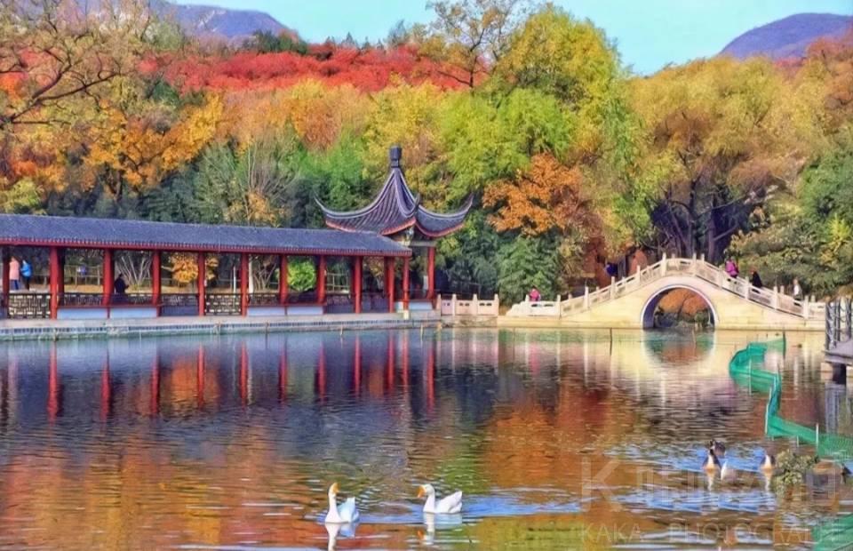 北京北宫森林公园