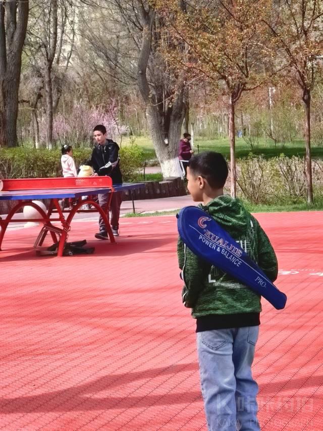 作品图 7