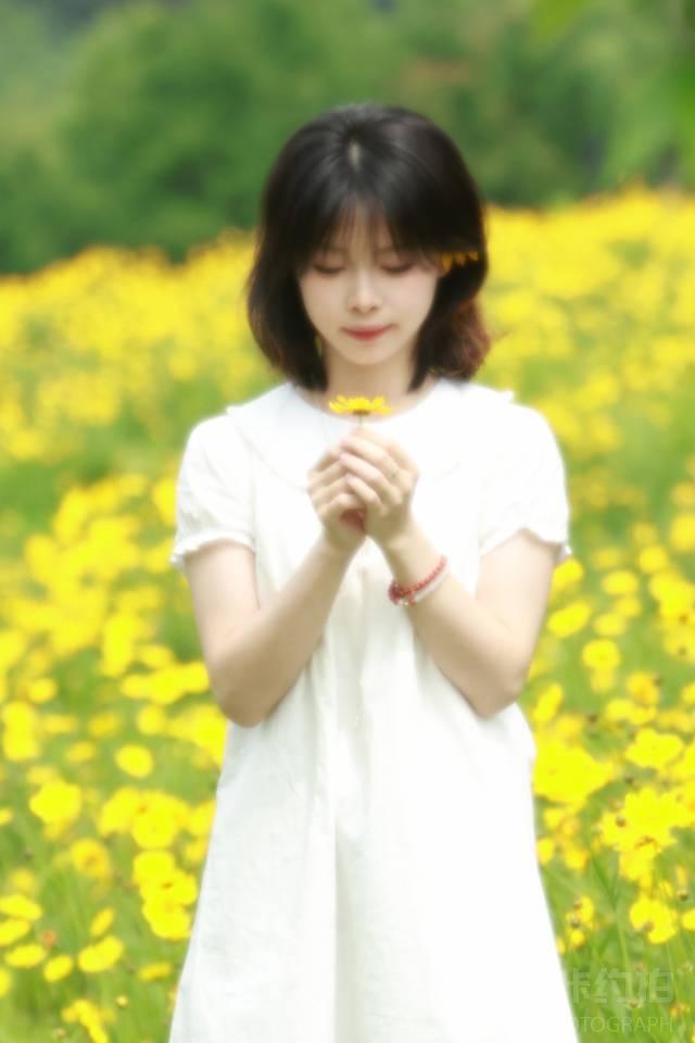 作品图 6