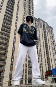 大SHU的树