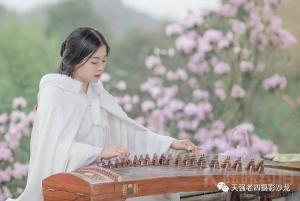 落花听雨