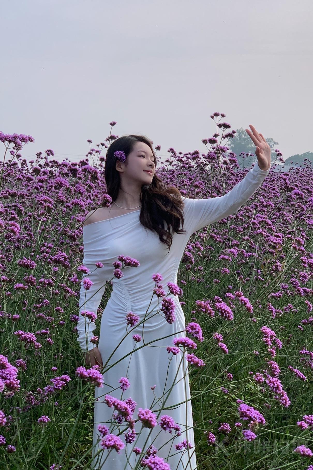 作品图 8