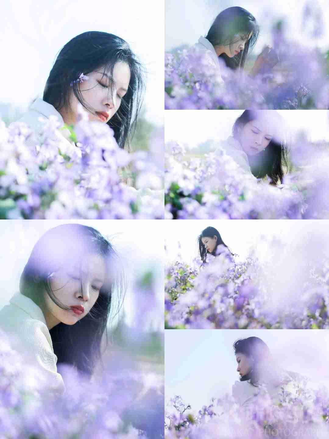 爱吃雪花的鲸