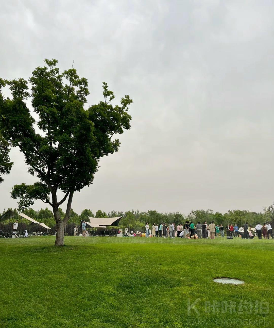场地图 4