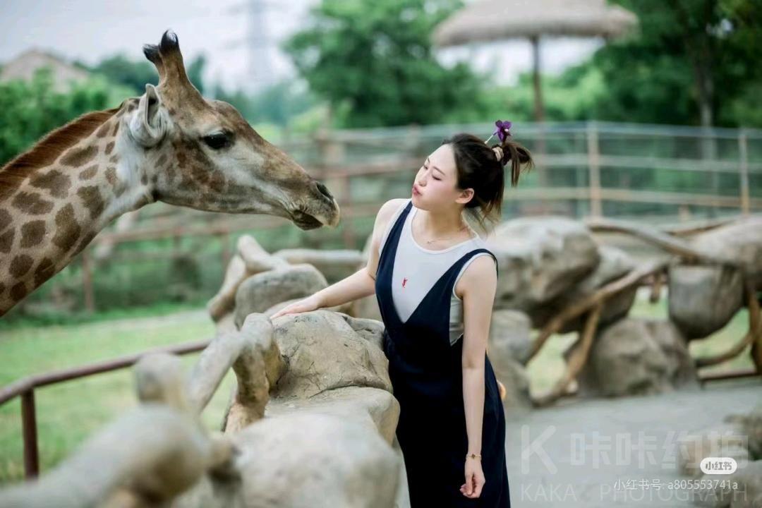 作品图 6