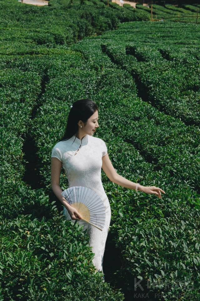 作品图 5