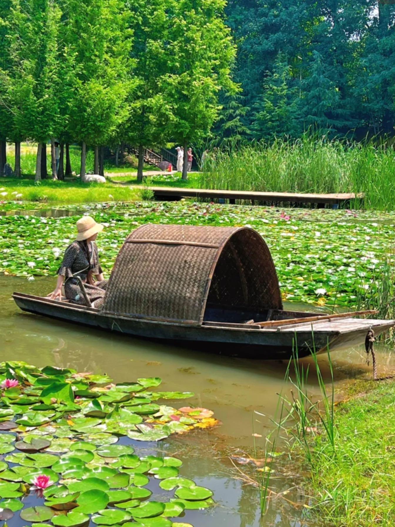 场地图 2