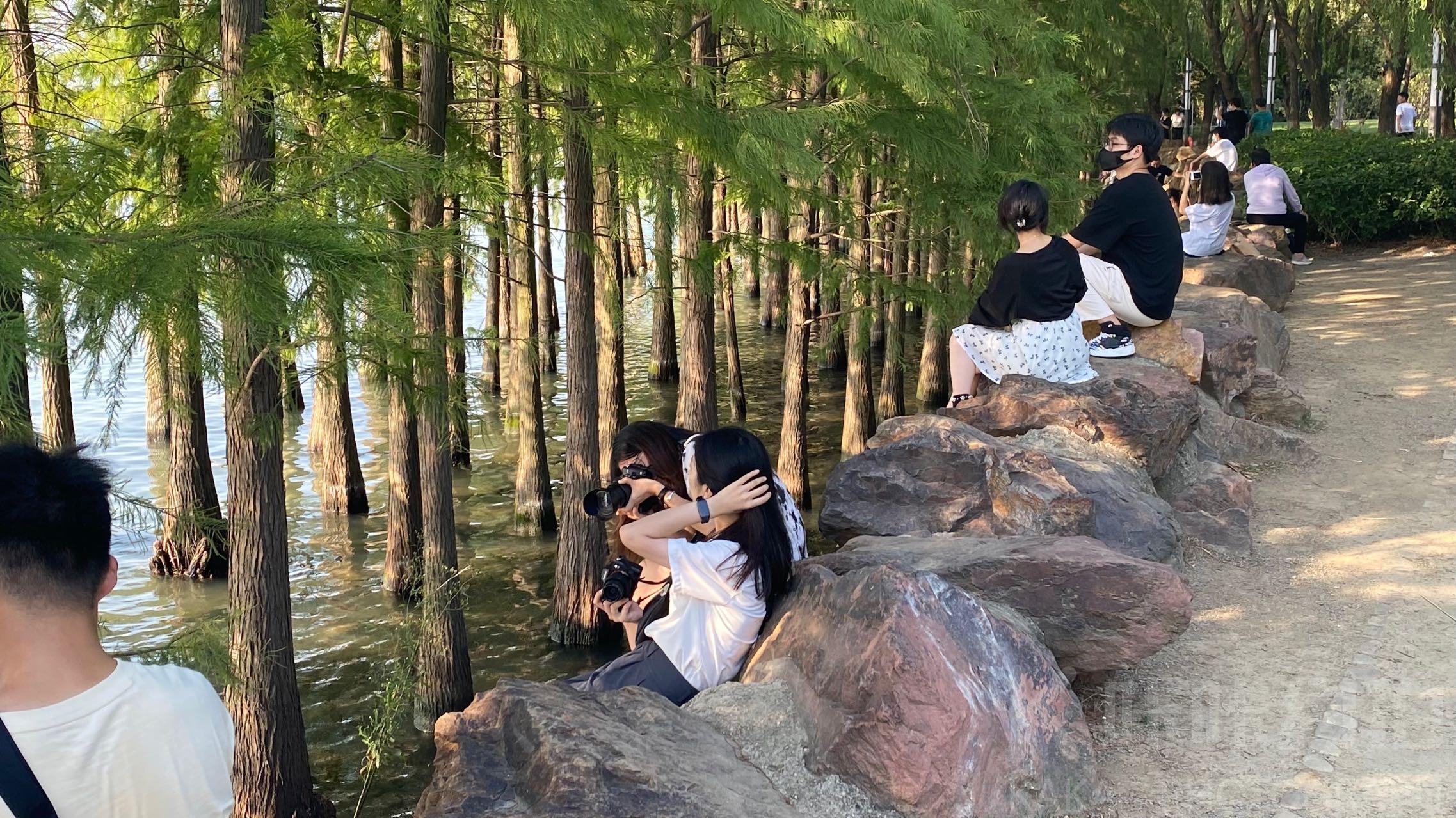 白鹭园