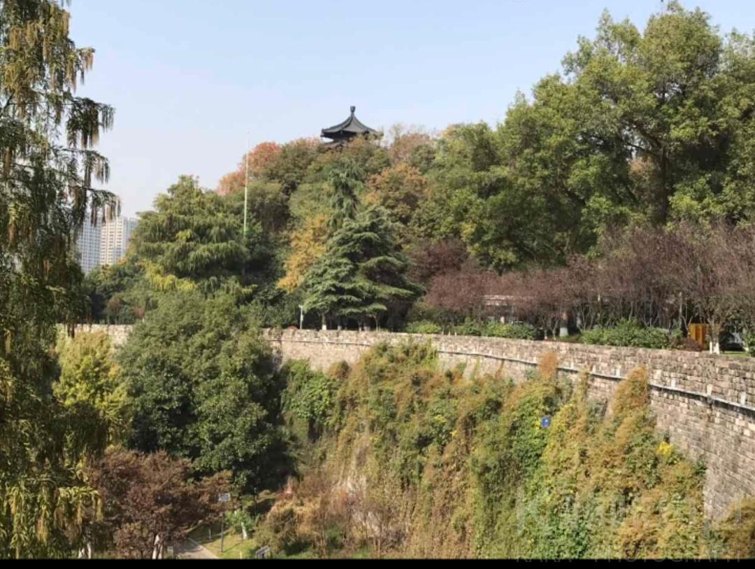 场地图 4