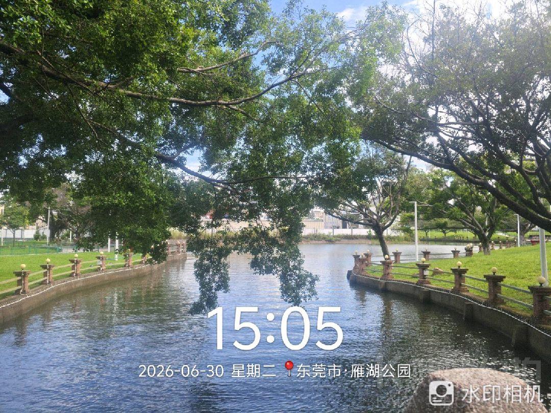 作品图 6