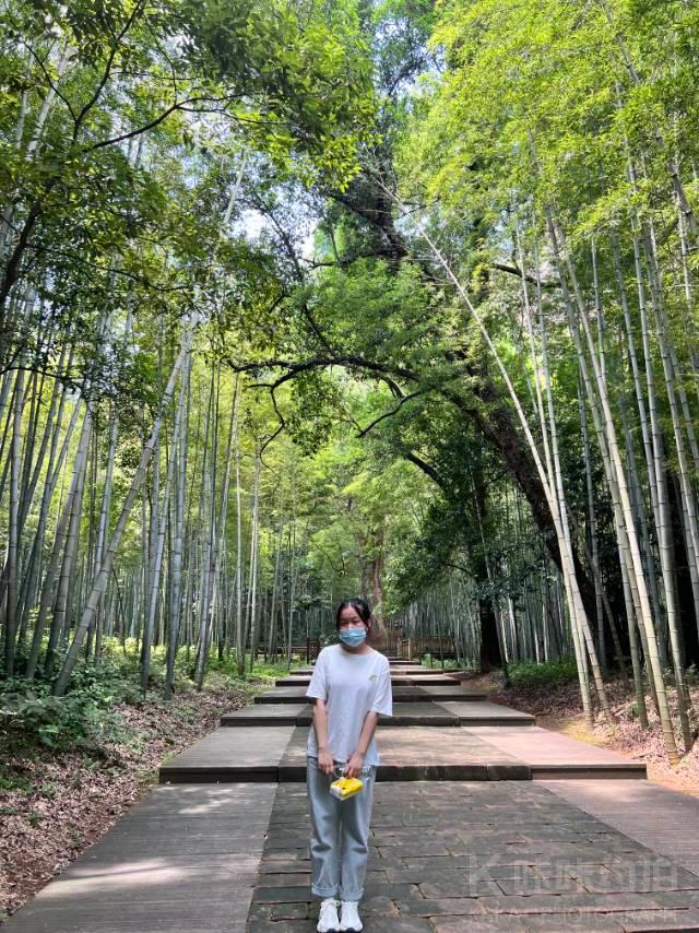 作品图 2