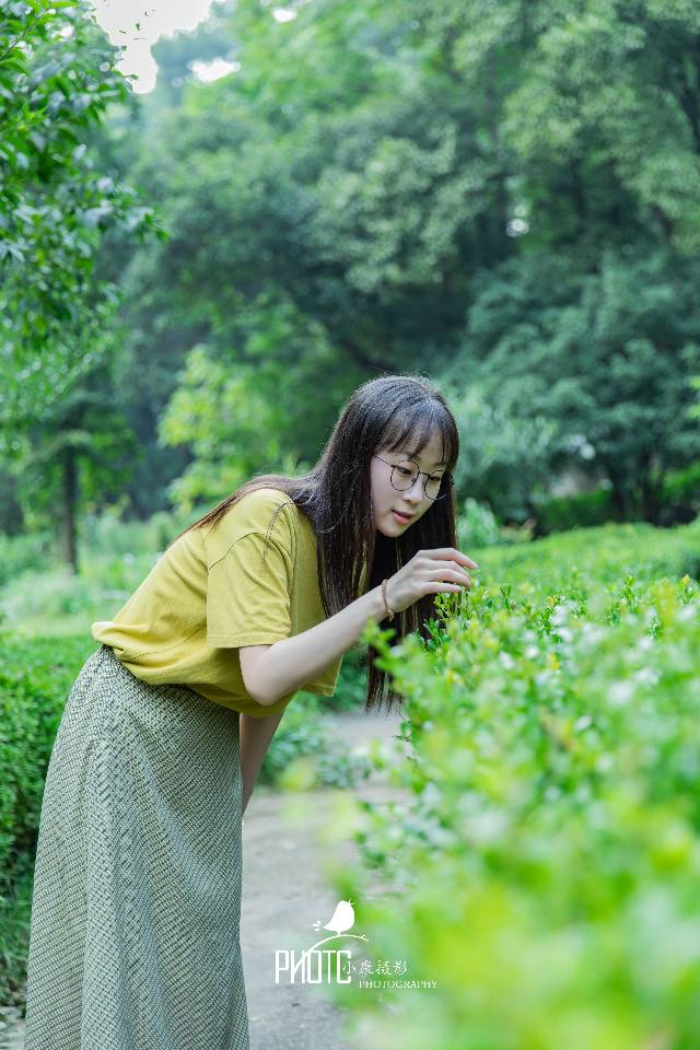 作品图 6