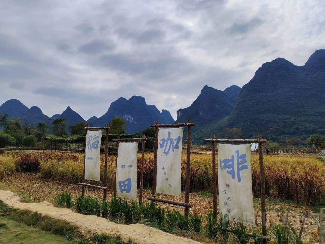 作品图 6