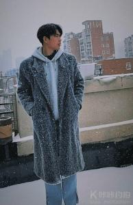 西西梅