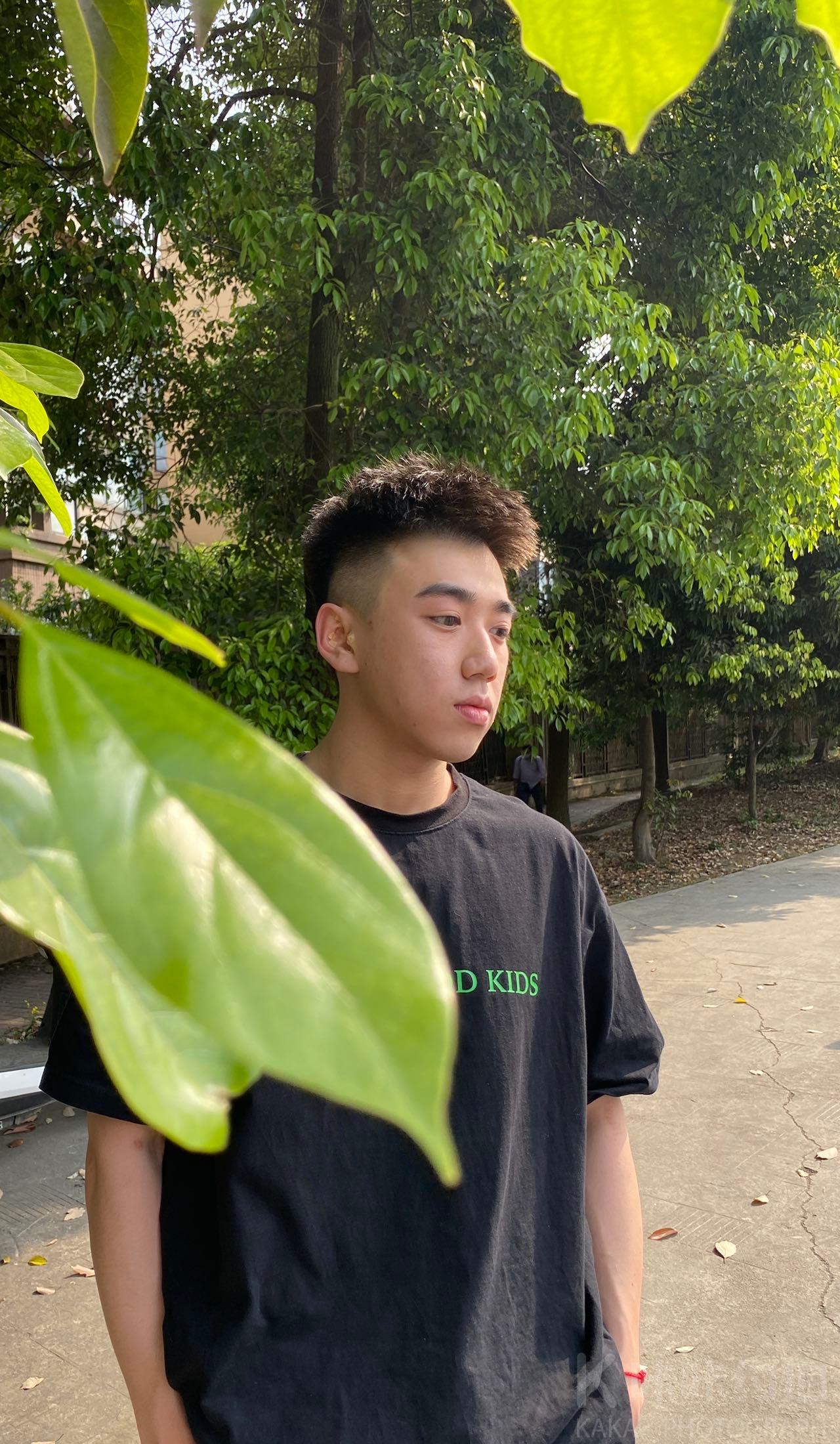 作品图 1