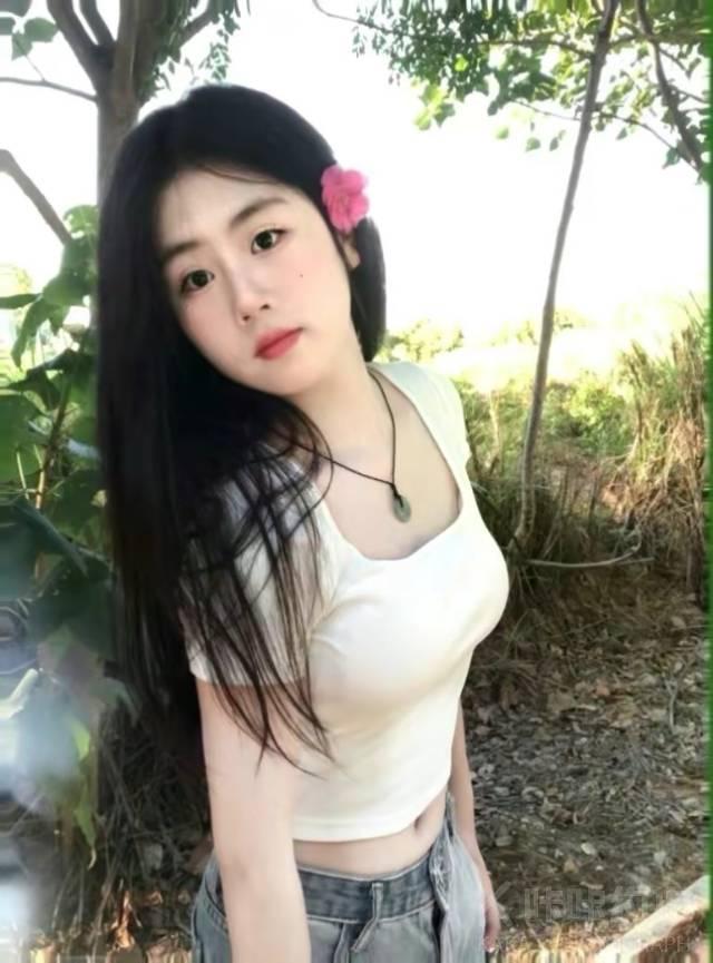 作品图 5