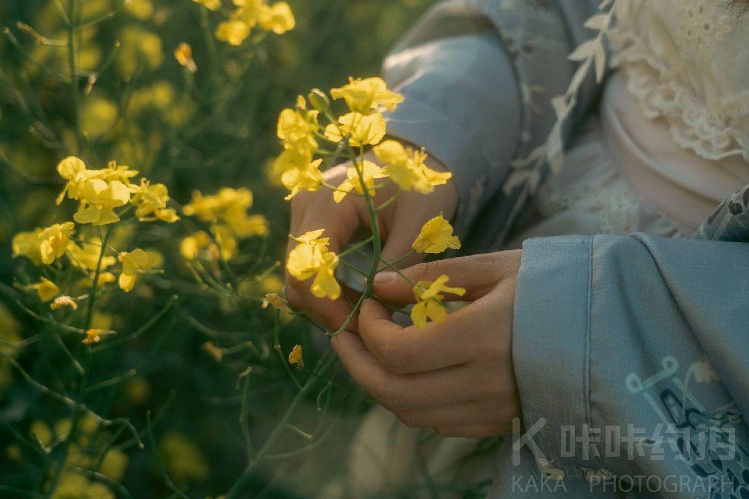 作品图 6