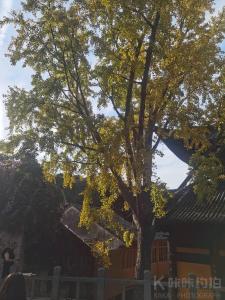 摄影师、江山